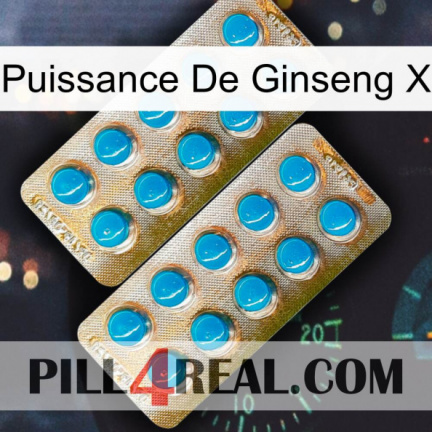 Ginseng Power X new08